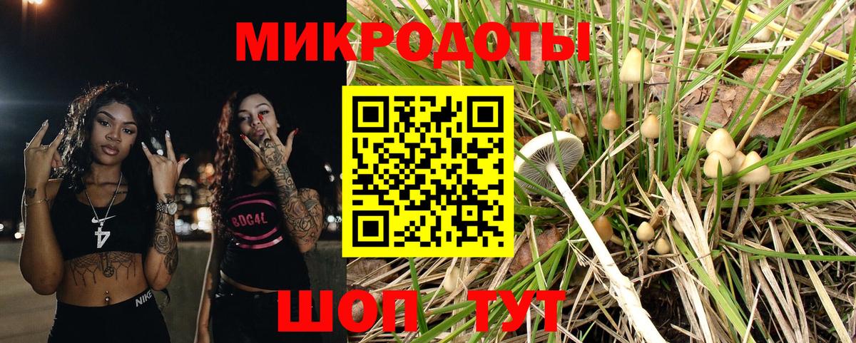 Галлюциногенные грибы Magic Shrooms Ростов-на-Дону