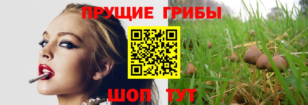 Галлюциногенные грибы Psilocybine cubensis  Вход с VPN  Псилоцибиновые грибы GOLDEN TEACHER  Ростов-на-Дону 